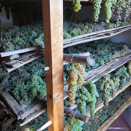 Podere San Giusto Farm stay Figline Valdarno