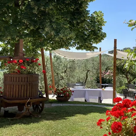 Farm stay Podere San Giusto Figline Valdarno