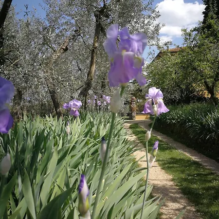 Κατάλυμα σε φάρμα Podere San Giusto Figline Valdarno