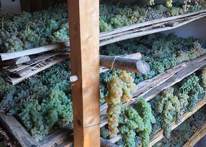 Podere San Giusto Κατάλυμα σε φάρμα Figline Valdarno